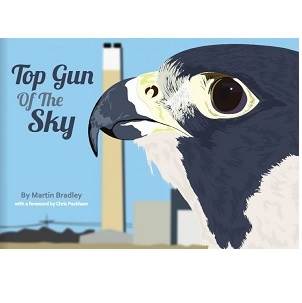 Top Gun of the Sky - Paperback